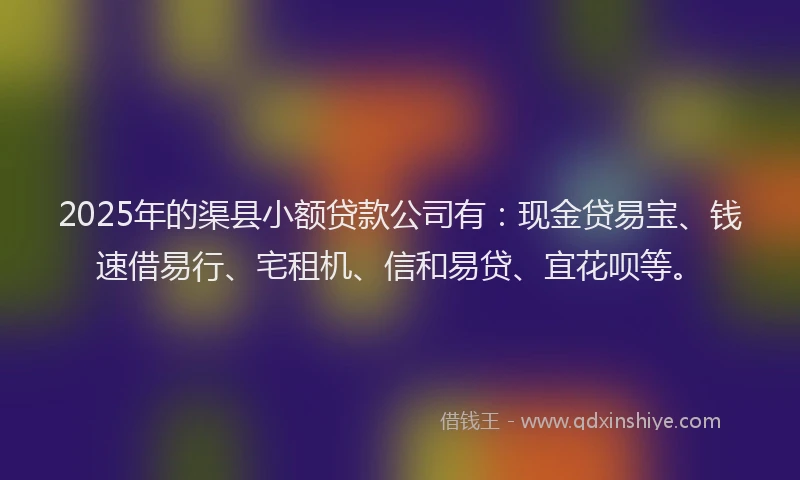 2025年的渠县小额贷款公司有：现金贷易宝、钱速借易行、宅租机、信和易贷、宜花呗等。