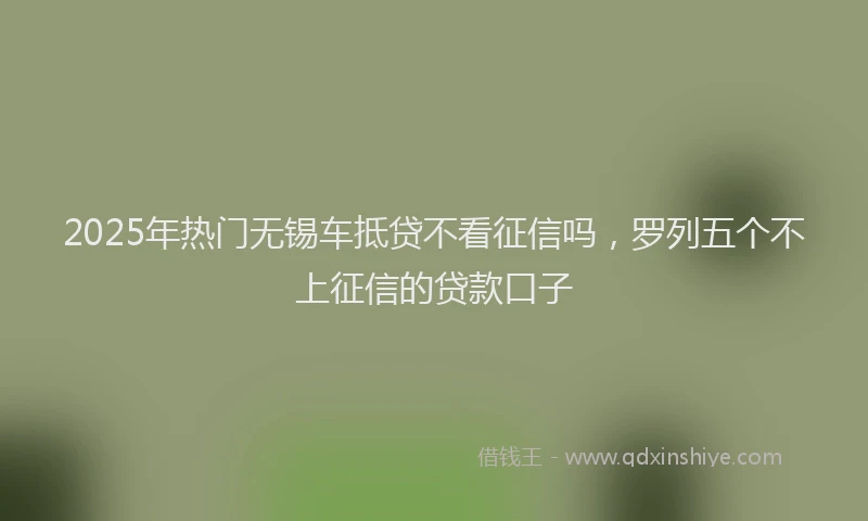2025年热门无锡车抵贷不看征信吗，罗列五个不上征信的贷款口子