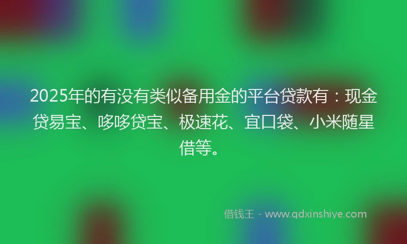 2025年的有没有类似备用金的平台贷款有：现金贷易宝、哆哆贷宝、极速花、宜口袋、小米随星借等。