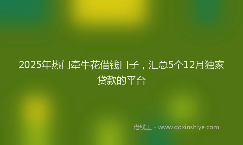 2025年热门牵牛花借钱口子，汇总5个12月独家贷款的平台