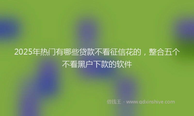 2025年热门有哪些贷款不看征信花的，整合五个不看黑户下款的软件