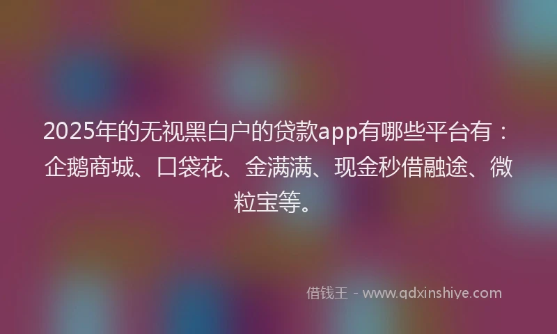 2025年的无视黑白户的贷款app有哪些平台有：企鹅商城、口袋花、金满满、现金秒借融途、微粒宝等。