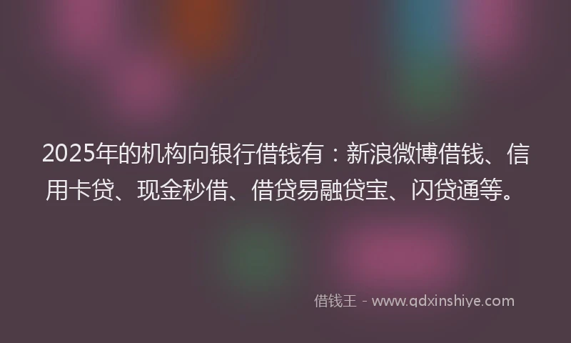 2025年的机构向银行借钱有：新浪微博借钱、信用卡贷、现金秒借、借贷易融贷宝、闪贷通等。
