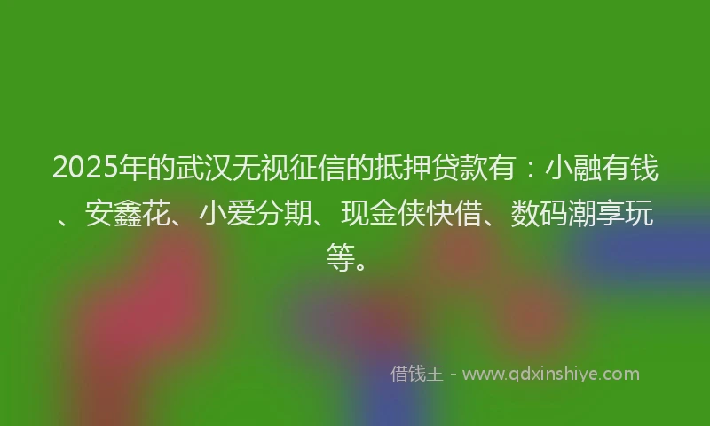 2025年的武汉无视征信的抵押贷款有：小融有钱、安鑫花、小爱分期、现金侠快借、数码潮享玩等。