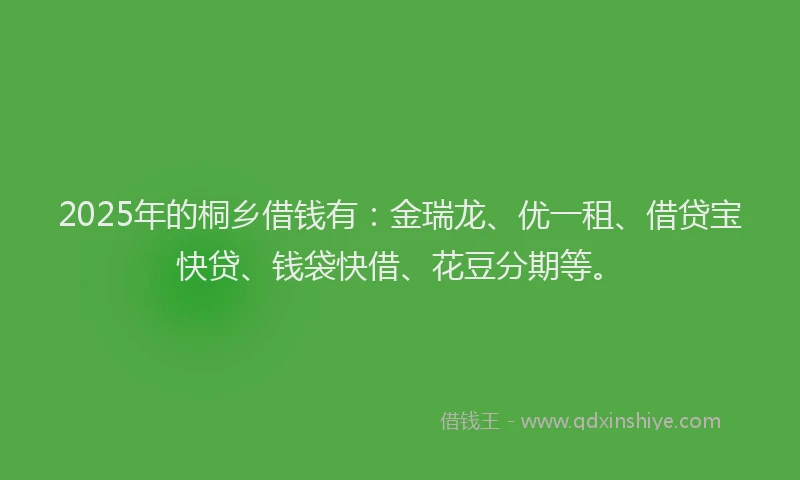 2025年的桐乡借钱有：金瑞龙、优一租、借贷宝快贷、钱袋快借、花豆分期等。