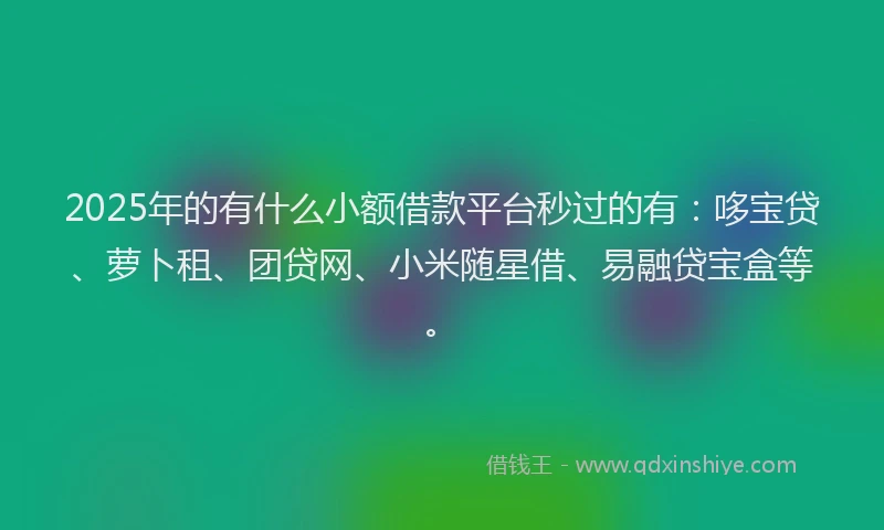 2025年的有什么小额借款平台秒过的有：哆宝贷、萝卜租、团贷网、小米随星借、易融贷宝盒等。