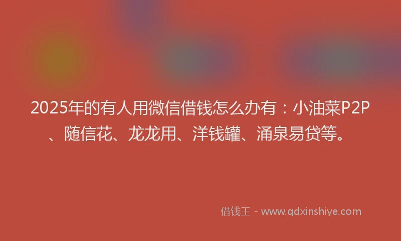 2025年的有人用微信借钱怎么办有：小油菜P2P、随信花、龙龙用、洋钱罐、涌泉易贷等。