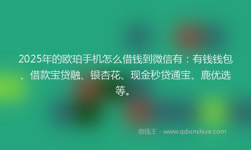 2025年的欧珀手机怎么借钱到微信有：有钱钱包、借款宝贷融、银杏花、现金秒贷通宝、鹿优选等。
