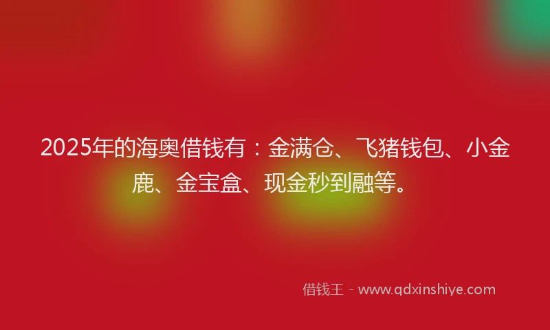 2025年的海奥借钱有：金满仓、飞猪钱包、小金鹿、金宝盒、现金秒到融等。
