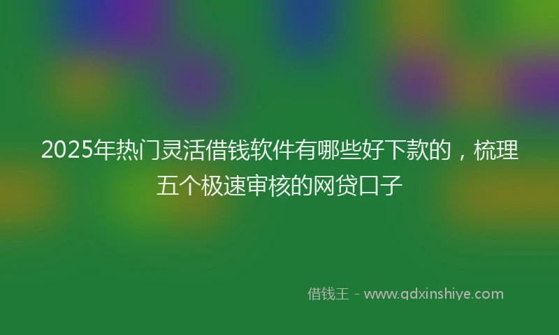 2025年热门灵活借钱软件有哪些好下款的，梳理五个极速审核的网贷口子