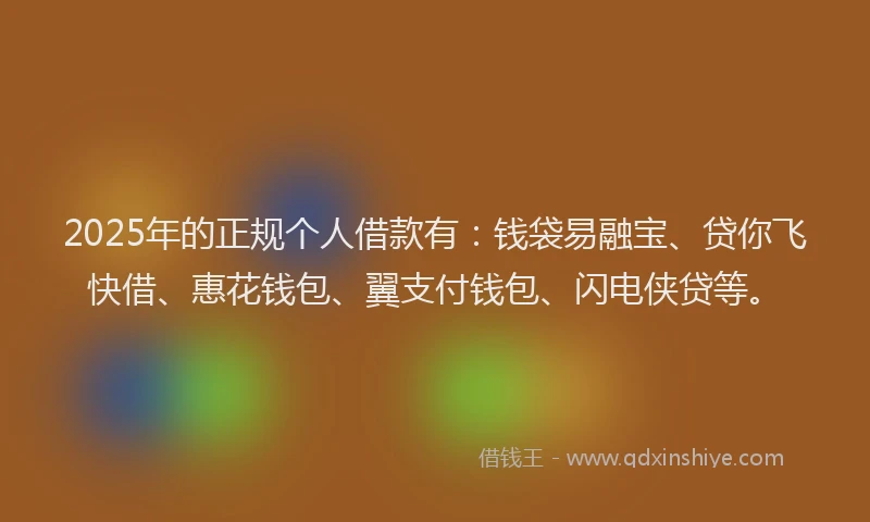 2025年的正规个人借款有：钱袋易融宝、贷你飞快借、惠花钱包、翼支付钱包、闪电侠贷等。