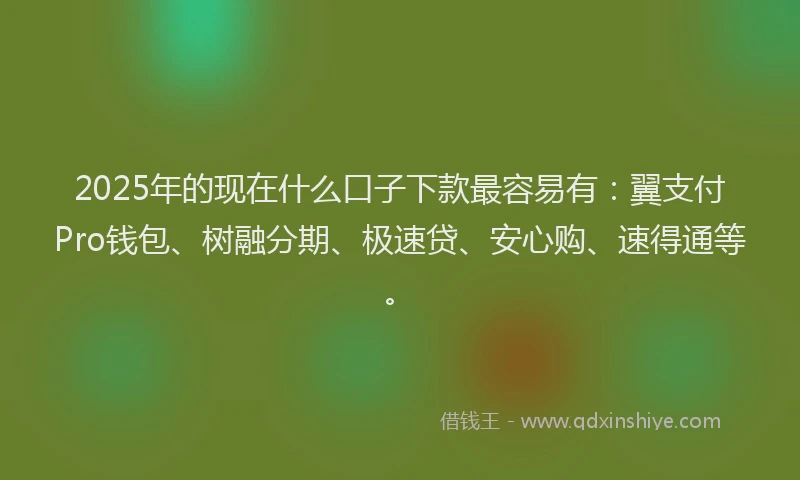 2025年的现在什么口子下款最容易有：翼支付Pro钱包、树融分期、极速贷、安心购、速得通等。