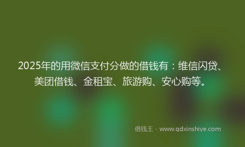 2025年的用微信支付分做的借钱有：维信闪贷、美团借钱、金租宝、旅游购、安心购等。
