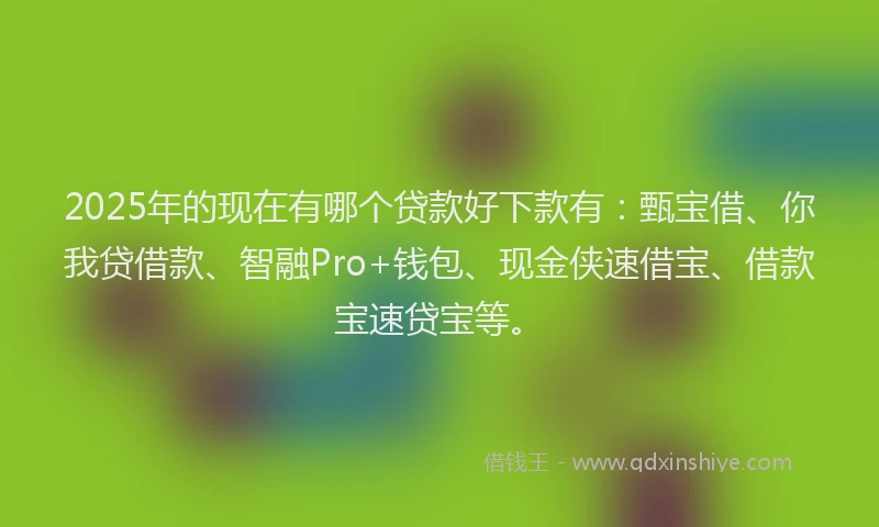 2025年的现在有哪个贷款好下款有：甄宝借、你我贷借款、智融Pro+钱包、现金侠速借宝、借款宝速贷宝等。