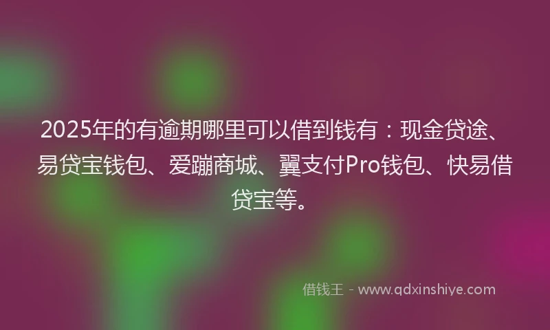2025年的有逾期哪里可以借到钱有：现金贷途、易贷宝钱包、爱蹦商城、翼支付Pro钱包、快易借贷宝等。