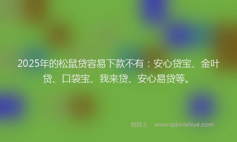 2025年的松鼠贷容易下款不有：安心贷宝、金叶贷、口袋宝、我来贷、安心易贷等。