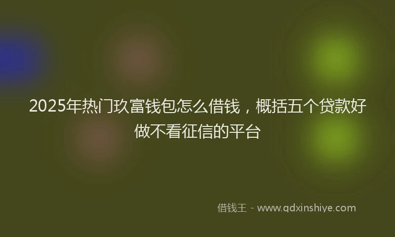 2025年热门玖富钱包怎么借钱，概括五个贷款好做不看征信的平台