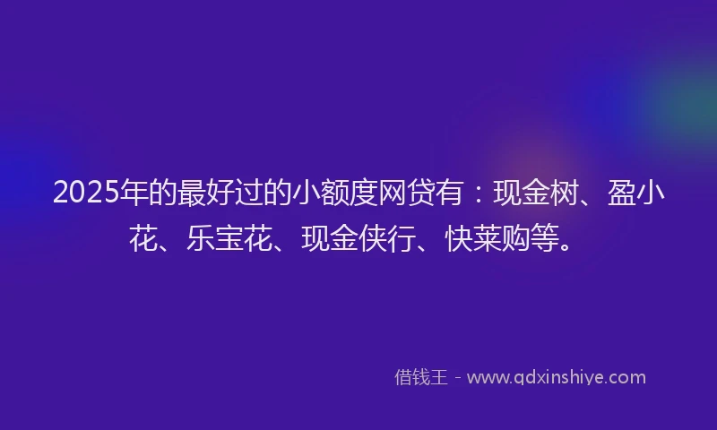 2025年的最好过的小额度网贷有：现金树、盈小花、乐宝花、现金侠行、快莱购等。
