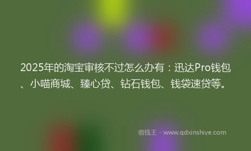 2025年的淘宝审核不过怎么办有：迅达Pro钱包、小喵商城、臻心贷、钻石钱包、钱袋速贷等。