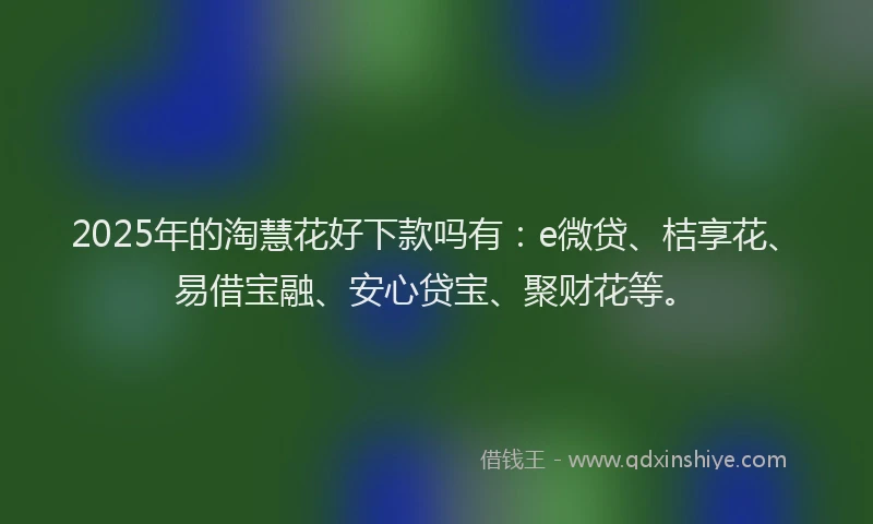 2025年的淘慧花好下款吗有：e微贷、桔享花、易借宝融、安心贷宝、聚财花等。