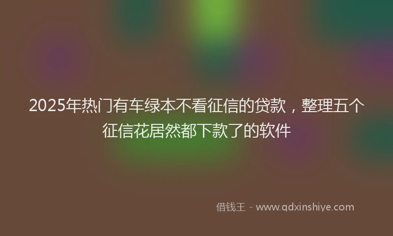 2025年热门有车绿本不看征信的贷款，整理五个征信花居然都下款了的软件