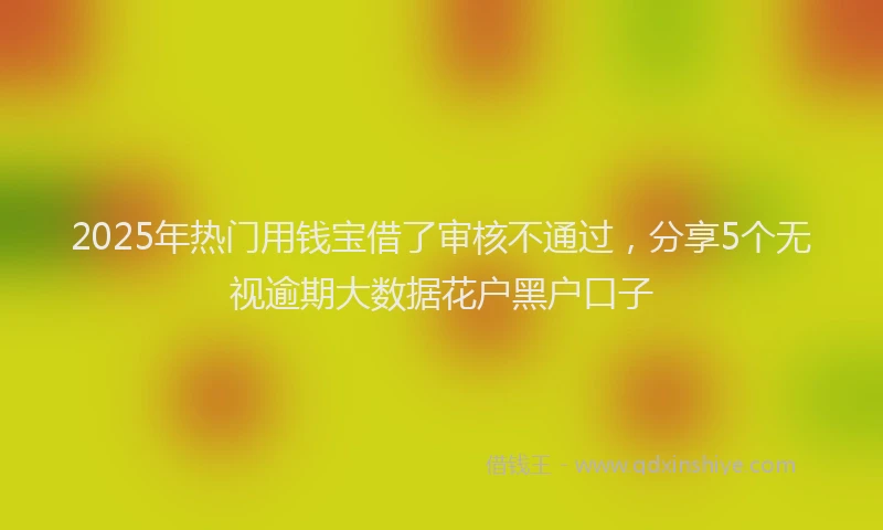 2025年热门用钱宝借了审核不通过，分享5个无视逾期大数据花户黑户口子