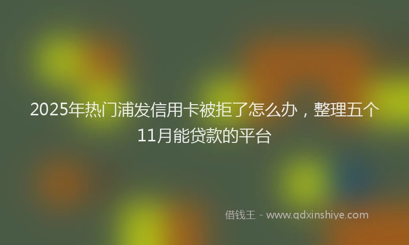 2025年热门浦发信用卡被拒了怎么办，整理五个11月能贷款的平台