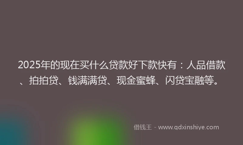 2025年的现在买什么贷款好下款快有：人品借款、拍拍贷、钱满满贷、现金蜜蜂、闪贷宝融等。