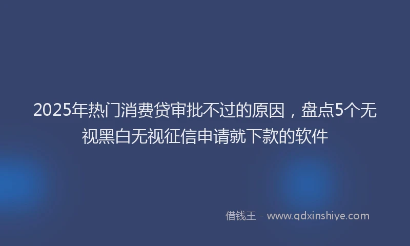 2025年热门消费贷审批不过的原因，盘点5个无视黑白无视征信申请就下款的软件