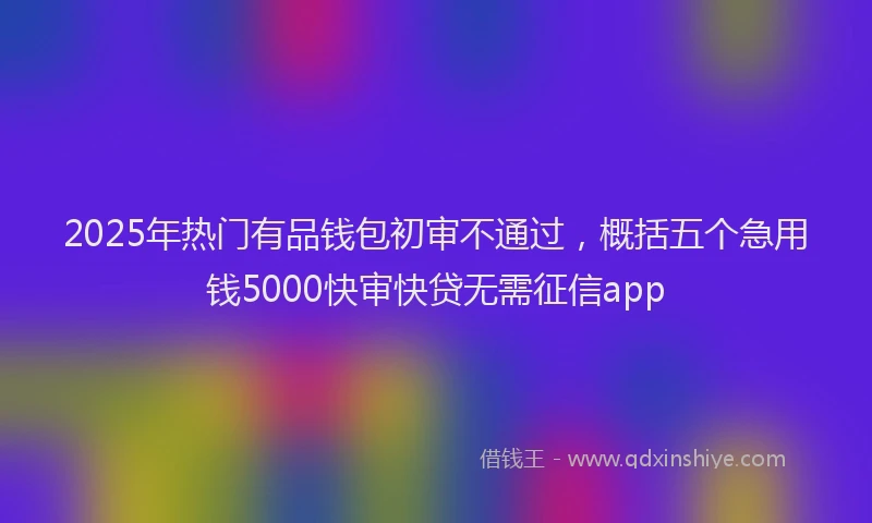 2025年热门有品钱包初审不通过，概括五个急用钱5000快审快贷无需征信app