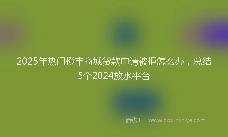 2025年热门橙丰商城贷款申请被拒怎么办，总结5个2024放水平台