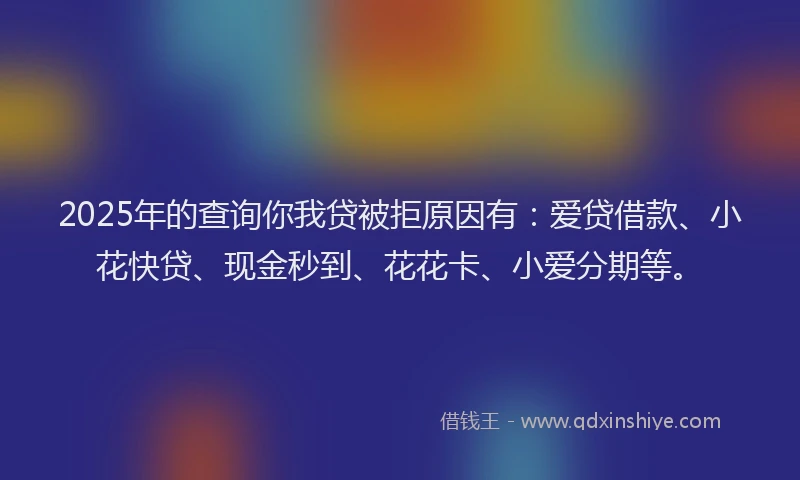 2025年的查询你我贷被拒原因有：爱贷借款、小花快贷、现金秒到、花花卡、小爱分期等。
