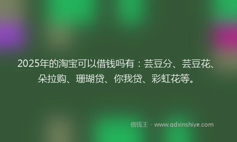 2025年的淘宝可以借钱吗有：芸豆分、芸豆花、朵拉购、珊瑚贷、你我贷、彩虹花等。