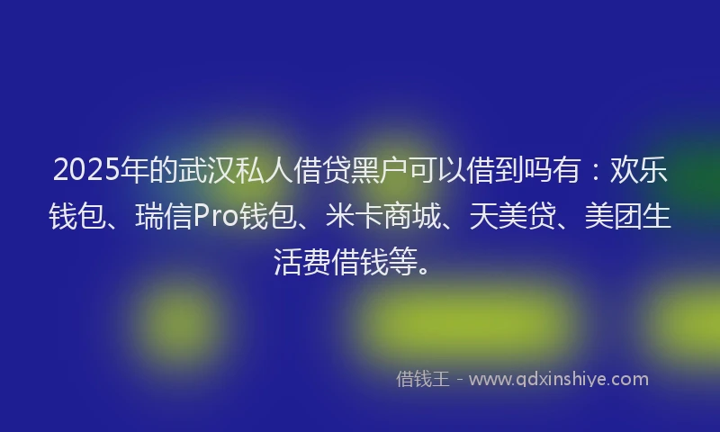 2025年的武汉私人借贷黑户可以借到吗有：欢乐钱包、瑞信Pro钱包、米卡商城、天美贷、美团生活费借钱等。