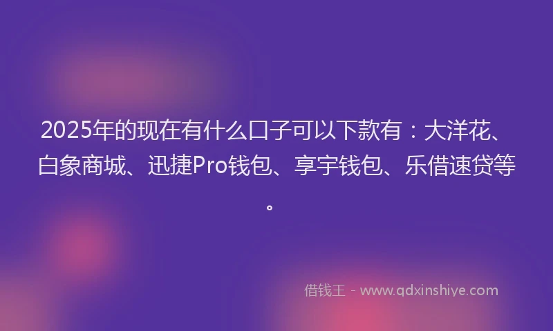 2025年的现在有什么口子可以下款有：大洋花、白象商城、迅捷Pro钱包、享宇钱包、乐借速贷等。