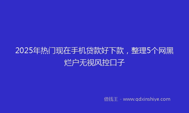 2025年热门现在手机贷款好下款，整理5个网黑烂户无视风控口子