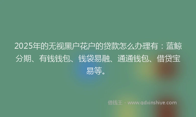 2025年的无视黑户花户的贷款怎么办理有：蓝鲸分期、有钱钱包、钱袋易融、通通钱包、借贷宝易等。