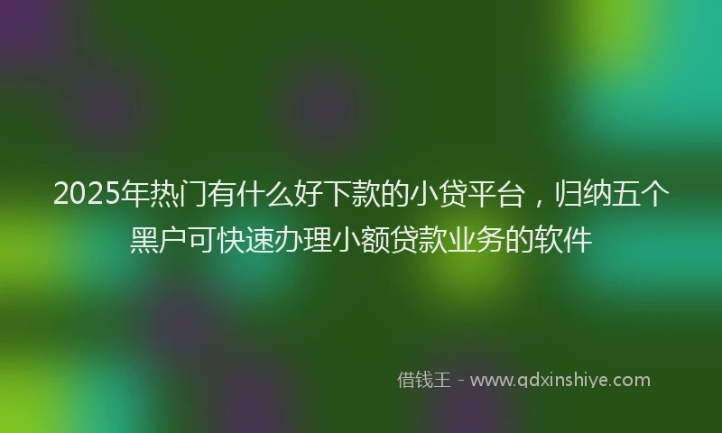 2025年热门有什么好下款的小贷平台，归纳五个黑户可快速办理小额贷款业务的软件