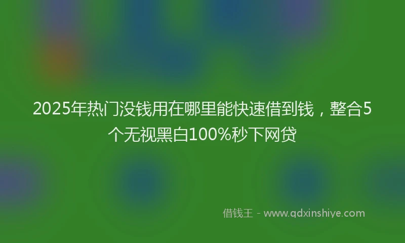 2025年热门没钱用在哪里能快速借到钱，整合5个无视黑白100%秒下网贷