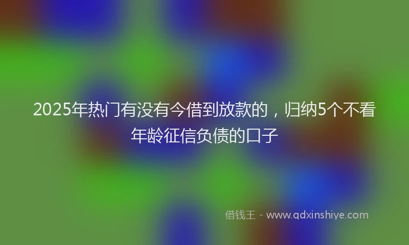 2025年热门有没有今借到放款的，归纳5个不看年龄征信负债的口子
