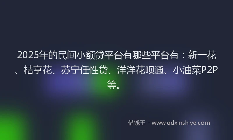 2025年的民间小额贷平台有哪些平台有：新一花、桔享花、苏宁任性贷、洋洋花呗通、小油菜P2P等。