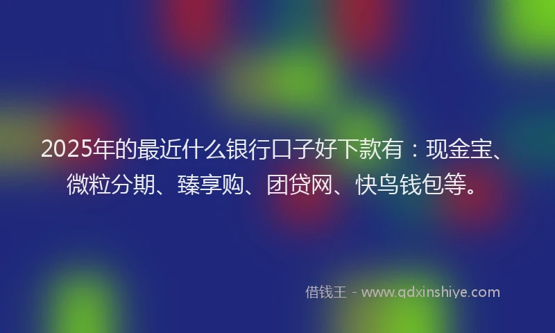 2025年的最近什么银行口子好下款有：现金宝、微粒分期、臻享购、团贷网、快鸟钱包等。