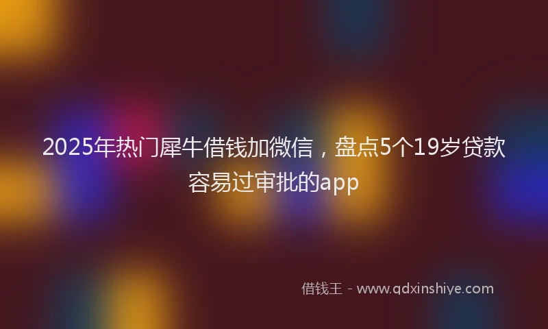 2025年热门犀牛借钱加微信，盘点5个19岁贷款容易过审批的app