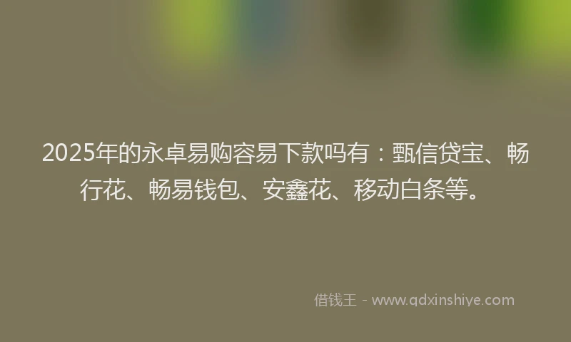 2025年的永卓易购容易下款吗有：甄信贷宝、畅行花、畅易钱包、安鑫花、移动白条等。