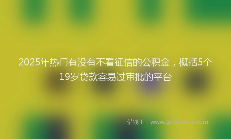 2025年热门有没有不看征信的公积金，概括5个19岁贷款容易过审批的平台
