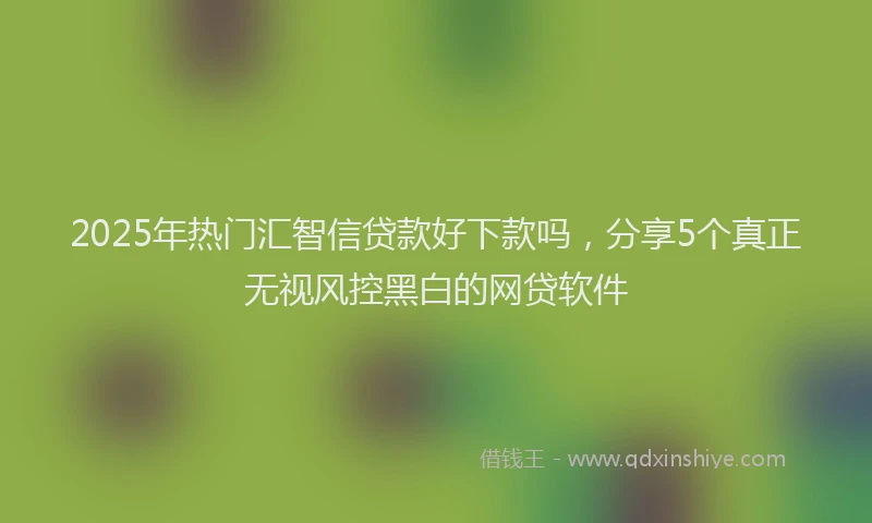 2025年热门汇智信贷款好下款吗，分享5个真正无视风控黑白的网贷软件