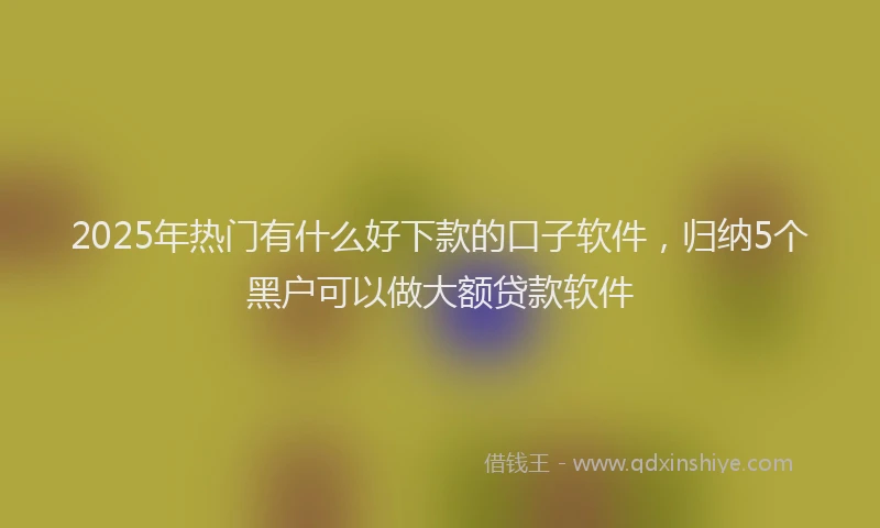 2025年热门有什么好下款的口子软件，归纳5个黑户可以做大额贷款软件