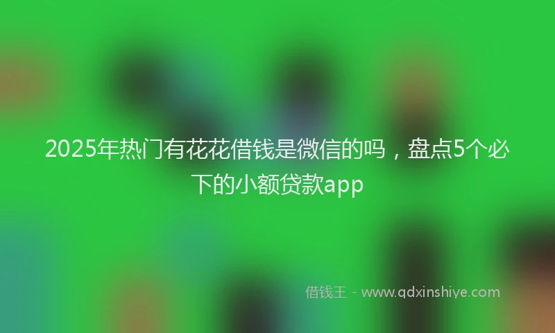 2025年热门有花花借钱是微信的吗，盘点5个必下的小额贷款app
