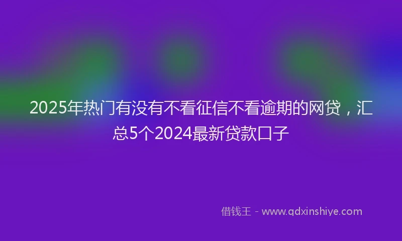 2025年热门有没有不看征信不看逾期的网贷，汇总5个2024最新贷款口子
