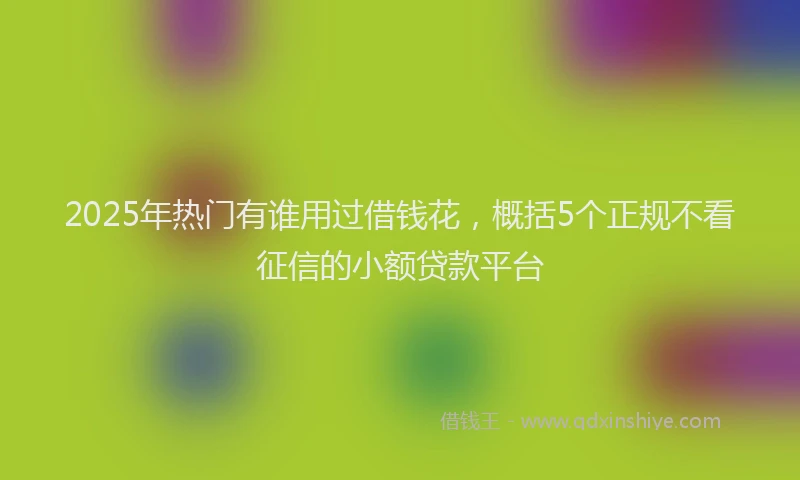 2025年热门有谁用过借钱花，概括5个正规不看征信的小额贷款平台